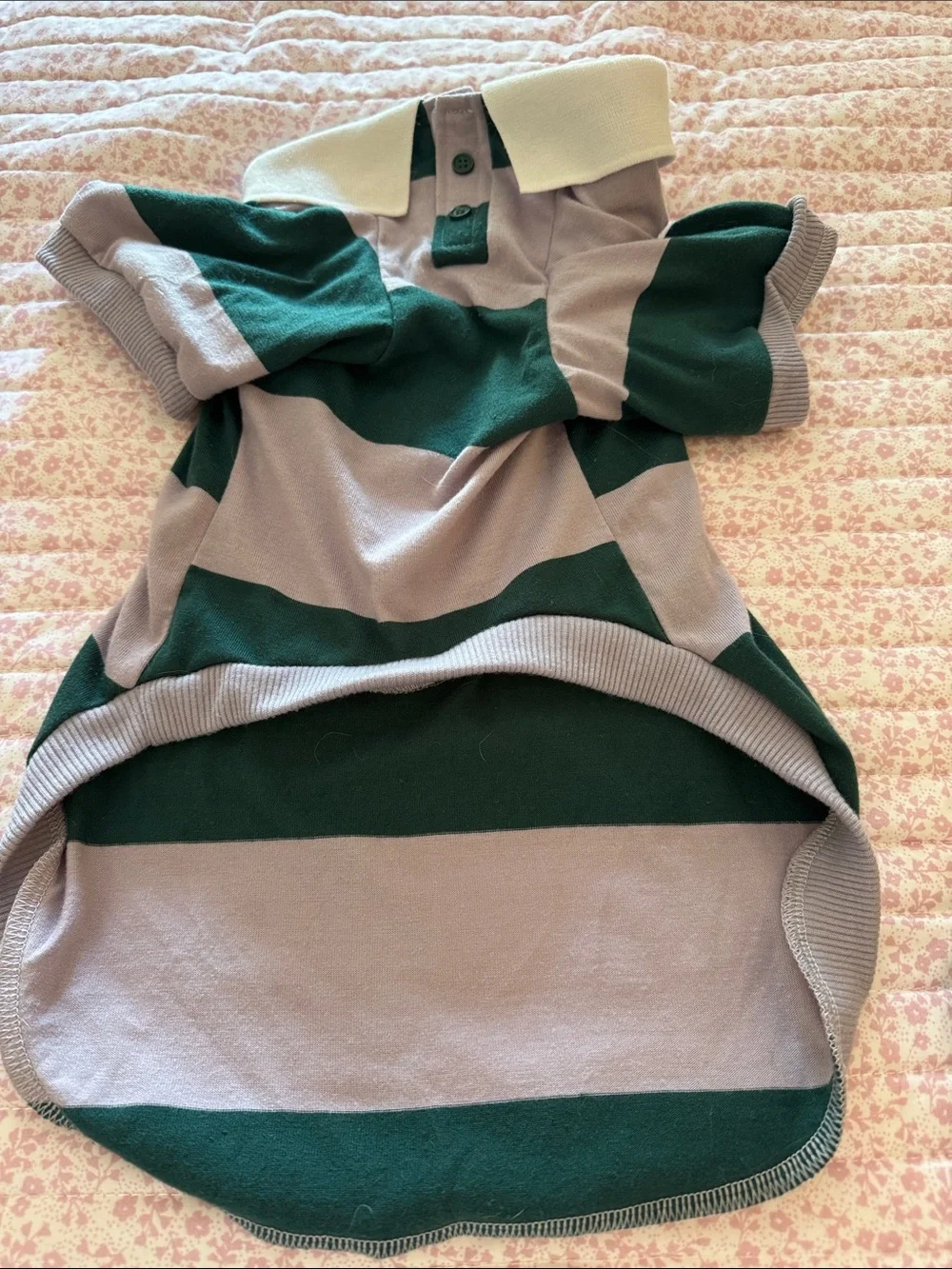 Striped Green and Gray Polo Dog Shirt